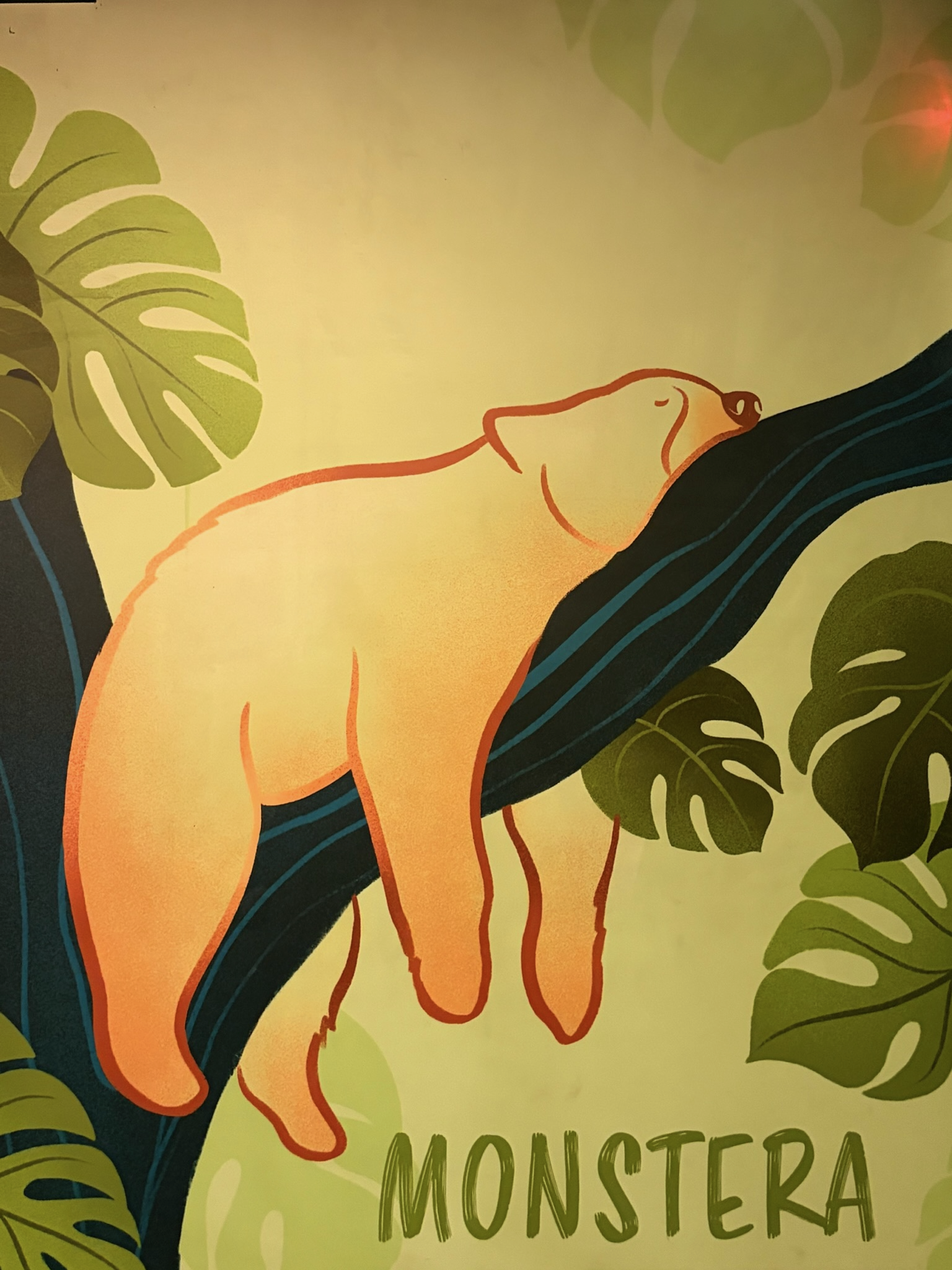 Monstera Room logo